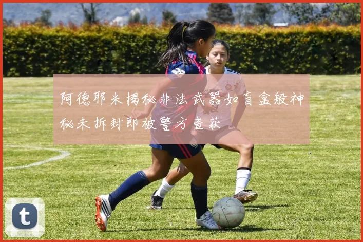 阿德耶米揭秘非法武器如盲盒般神秘未拆封即被警方查获