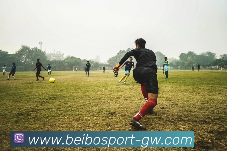 贝博体育发展历程